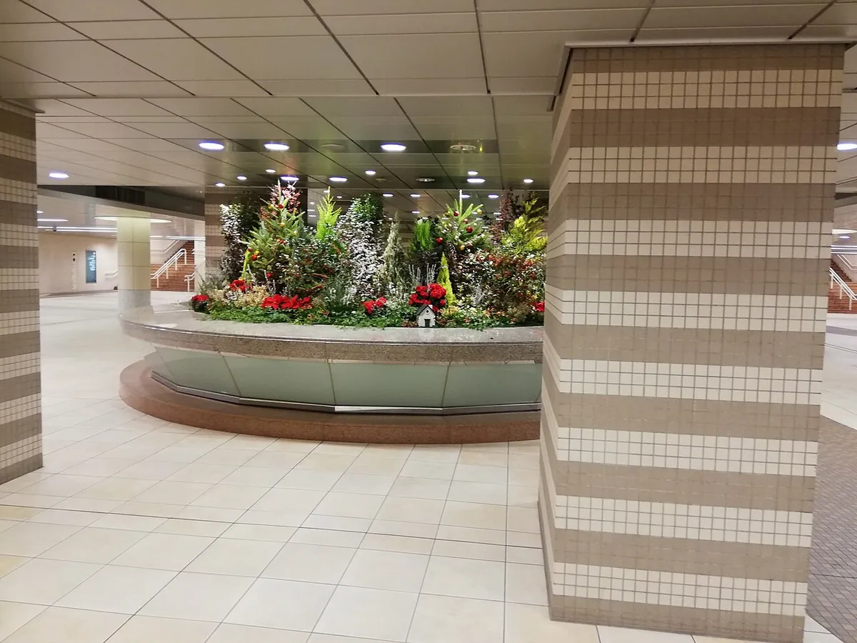 汐留駅の地下コンコースの植え込みと柱